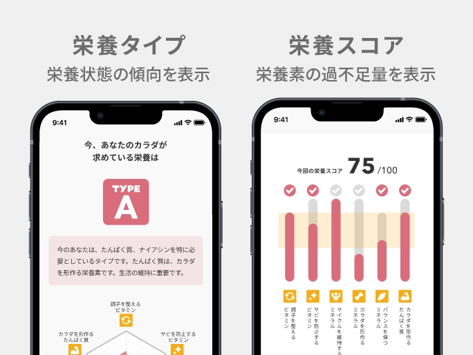 栄養タイプ:栄養状態の種類、栄養スコア:栄養素の過不足量の評価